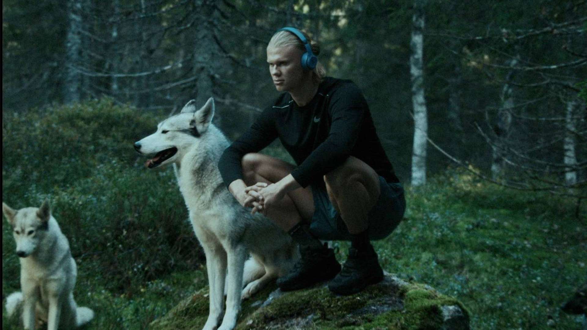 巴黎效力 巴黎效力