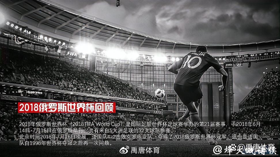 世界杯直播：专业解说团队观赛新体验